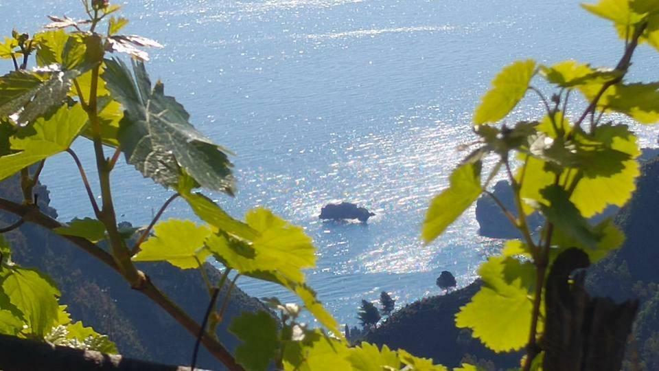 Casa Il Faro Villa Con Piscina كاستلمولا المظهر الخارجي الصورة